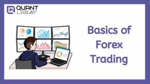 basics of forex trading